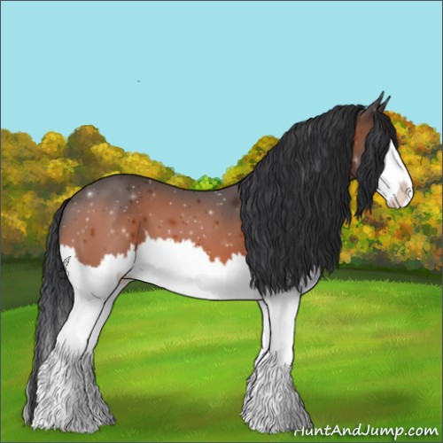 Horse Color:Brown Sabino Splash