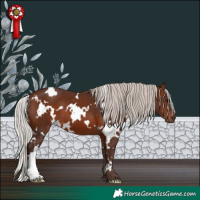 Horse Color:White Spotted Silver Brown 
