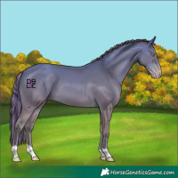 Horse Color:Painted Amber Champagne 