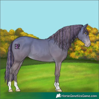 Horse Color:Painted Amber Champagne 