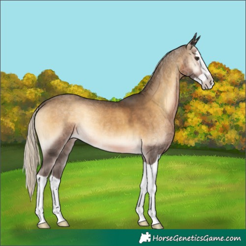 Horse Color:Chocolate Palomino Onyx Splash