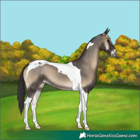 Horse Color:Smoky Blue Onyx Tobiano 
