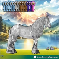 Horse Color:Silver Grullo Chinchilla Splash Tobiano 