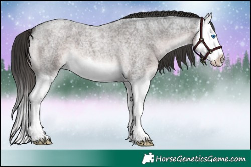 Horse Color:Platinum Liver Red Roan Splash 