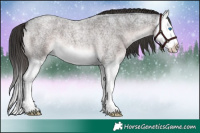 Horse Color:Platinum Liver Red Roan Splash