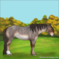 Horse Color:Liver Red Roan 