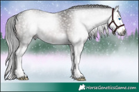 Horse Color:Gray Platinum White Spotted Liver Chestnut Splash