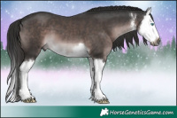 Horse Color:Gray Platinum White Spotted Liver Chestnut Splash