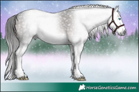 Horse Color:Gray Platinum White Spotted Liver Chestnut Splash 