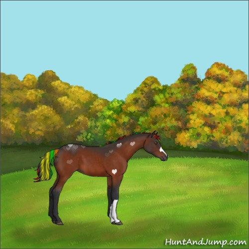 Horse Color:Painted Brown 