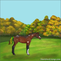Horse Color:Painted Brown