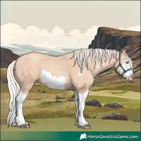 Horse Color:Silver Classic Champagne Dun Splash Frame 