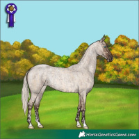 Horse Color:Chocolate Palomino Pearl Dun Mushroom Rabicano  and Liver Red Dun Roan Mushroom 