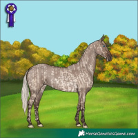 Horse Color:Chocolate Palomino Pearl Dun Mushroom Rabicano  and Liver Red Dun Roan Mushroom 