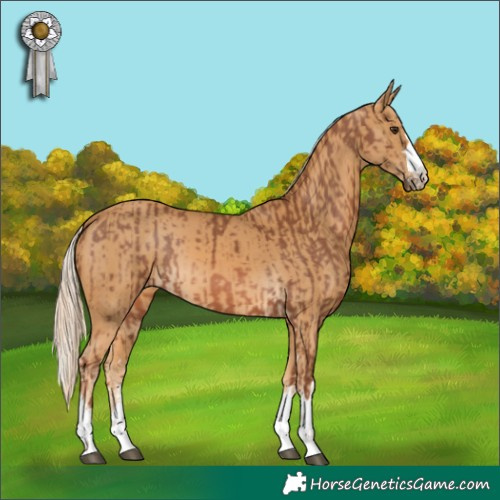 Horse Color:Chestnut Mushroom and Palomino Mushroom Rabicano