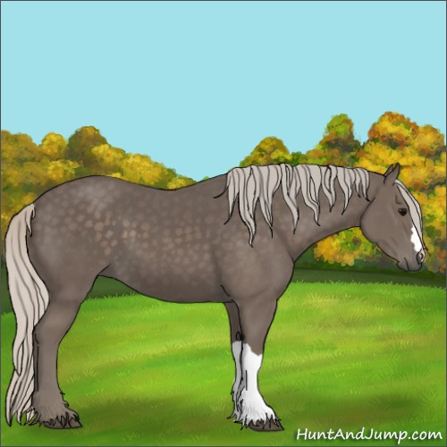 Horse Color:Silver Black