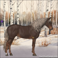Horse Color:Liver Chestnut  and Liver Chestnut 