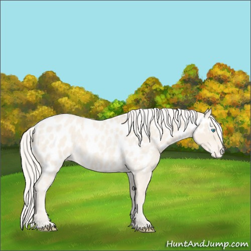 Horse Color:Cremello Roan Near Leopard 