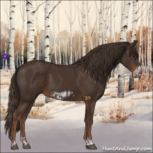 Horse Color:Liver Chestnut  and Liver Chestnut Frame 