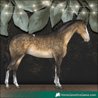 Horse Color:Buckskin Sabino Splash Tobiano Rabicano