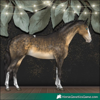 Horse Color:Buckskin Sabino Splash Tobiano Rabicano 