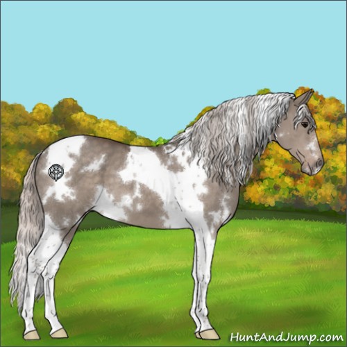 Horse Color:White Spotted Silver Grullo Tobiano 