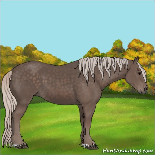 Horse Color:Silver Black 