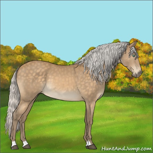 Horse Color:Silver Buckskin Mushroom 