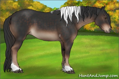 Horse Color:Liver Chestnut Tobiano 