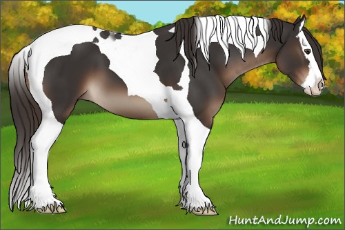 Horse Color:Liver Chestnut Splash Tobiano 