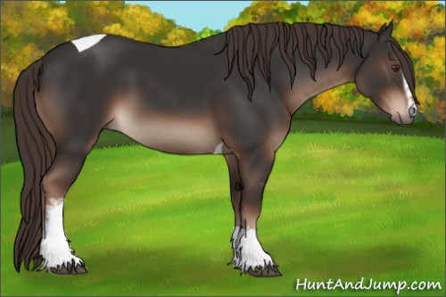 Horse Color:White Spotted Liver Chestnut Tobiano 