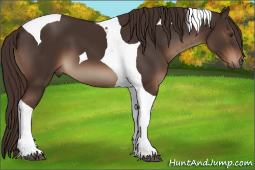 Horse Color:Liver Chestnut Tobiano 