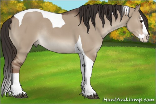 Horse Color:Liver Red Dun Splash Tobiano Rabicano 