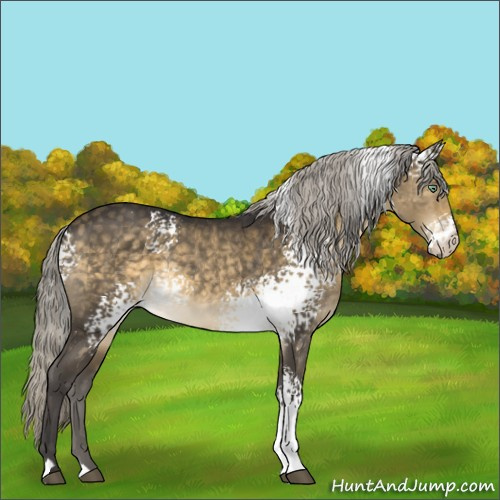 Horse Color:White Spotted Silver Buckskin Dun Mushroom 