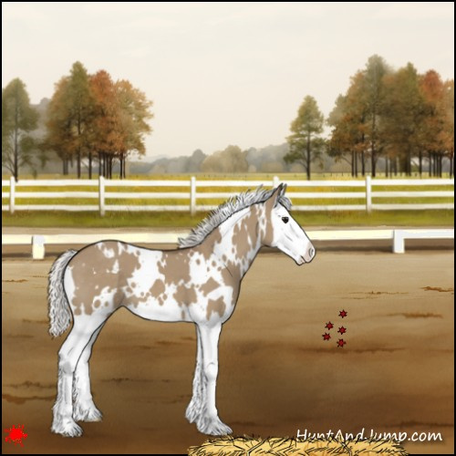 Horse Color:White Spotted Silver Grullo Splash 