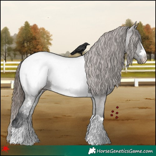 Horse Color:Grullo Near Fewspot