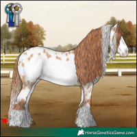 Horse Color:White Spotted Red Dun Frame Near Leopard 