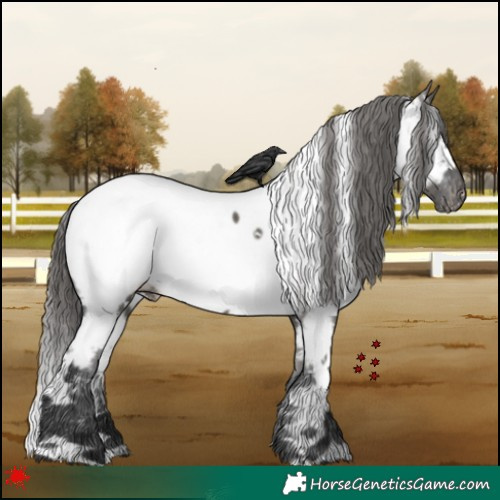 Horse Color:White Spotted Grullo Near Fewspot 