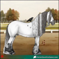 Horse Color:White Spotted Grullo Near Fewspot 