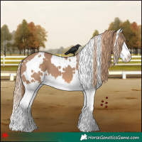 Horse Color:White Spotted Red Dun Splash 