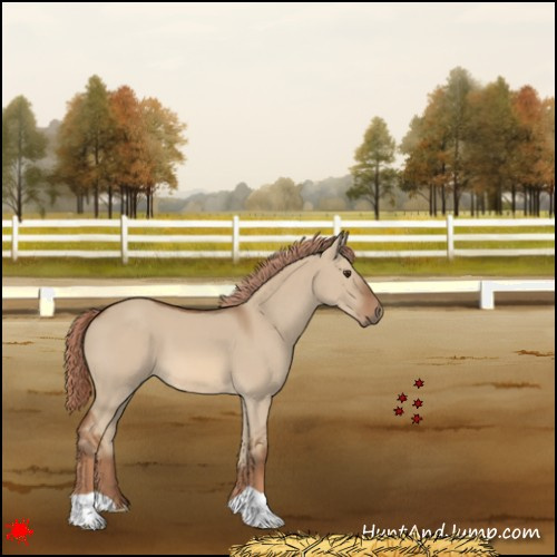 Horse Color:Red Dun 