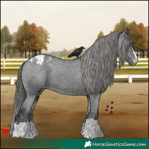 Horse Color:Black Snowcap 