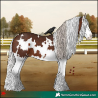 Horse Color:White Spotted Silver Brown Splash