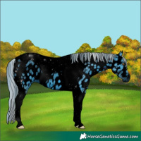 Horse Color:ERROR: UNKNOWN ANOMALY