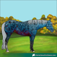 Horse Color:ERROR: UNKNOWN ANOMALY