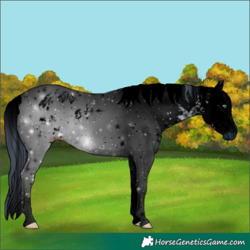 Horse Color:ERROR: UNKNOWN ANOMALY