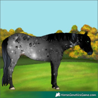 Horse Color:ERROR: UNKNOWN ANOMALY