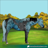 Horse Color:ERROR: UNKNOWN ANOMALY