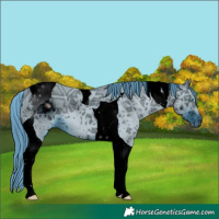 Horse Color:ERROR: UNKNOWN ANOMALY