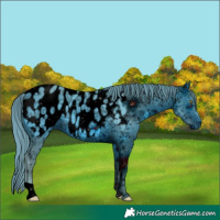 Horse Color:ERROR: UNKNOWN ANOMALY